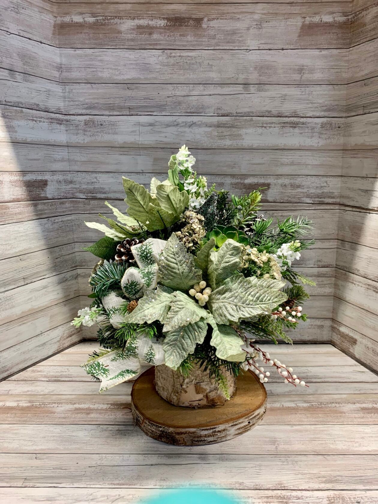 Snow-kiss Evergreen Delight