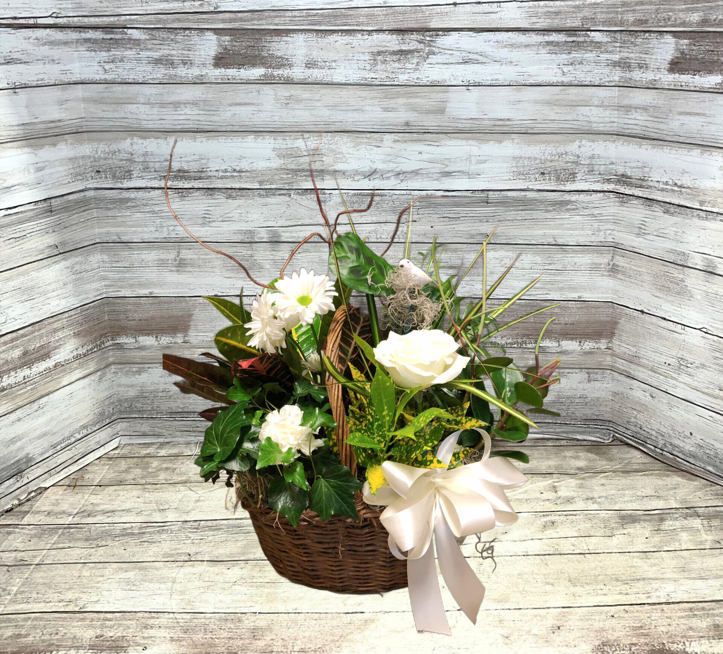 Steen’s White Perfection Garden image 0