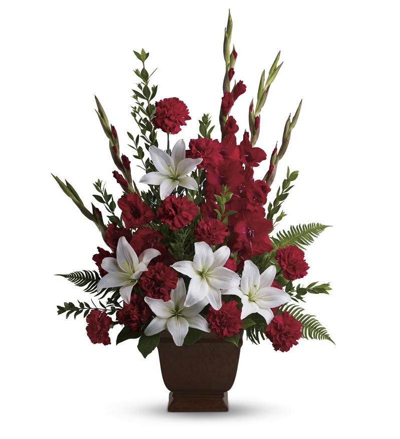 Tender Tribute image 0