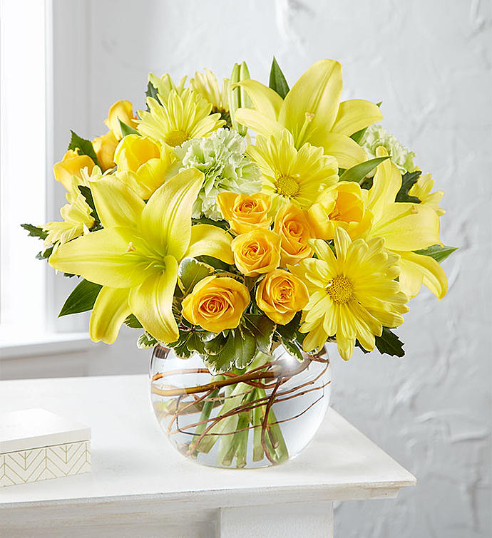 Tender Care in Yellow - Standard image