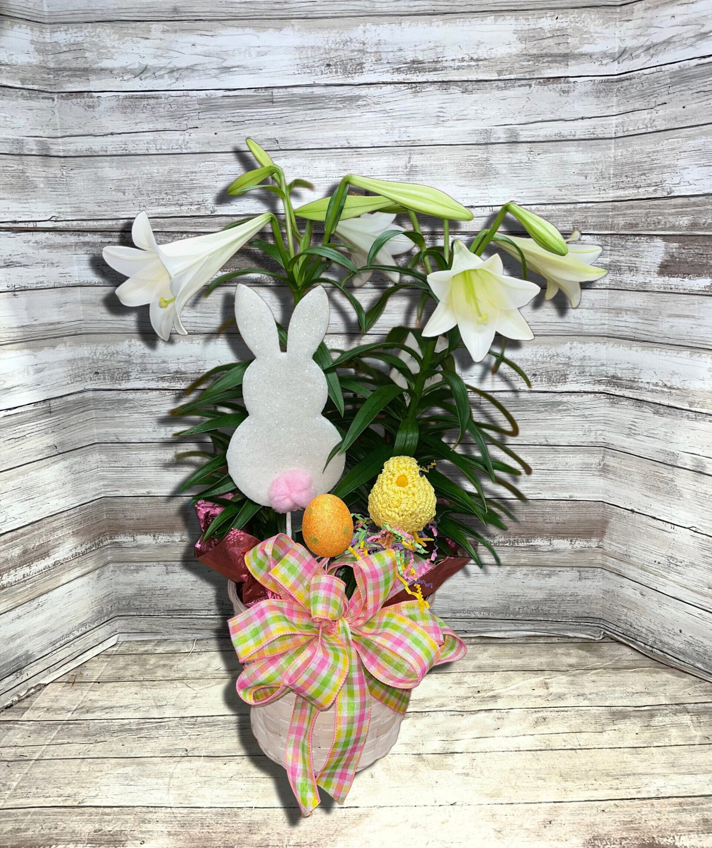 8 Inch Easter Lily Delight image 0