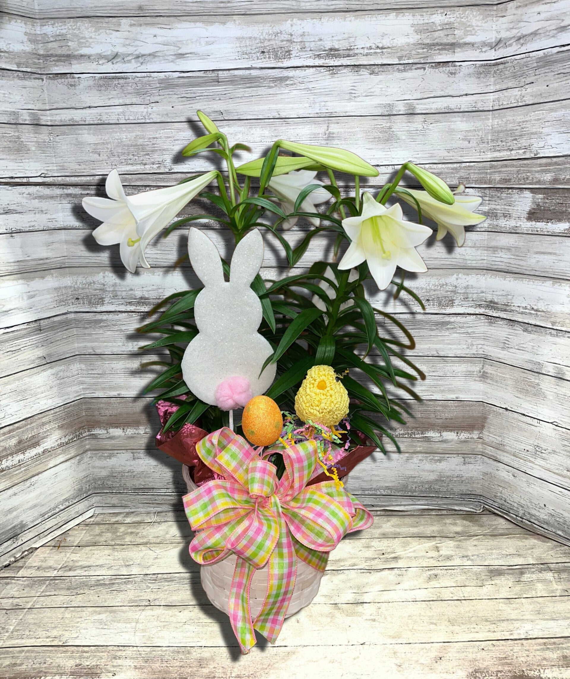 8 Inch Easter Lily Delight