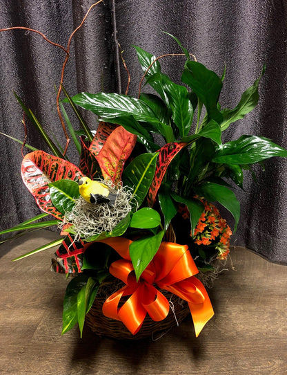 Bittersweet Blooming Garden - Deluxe image