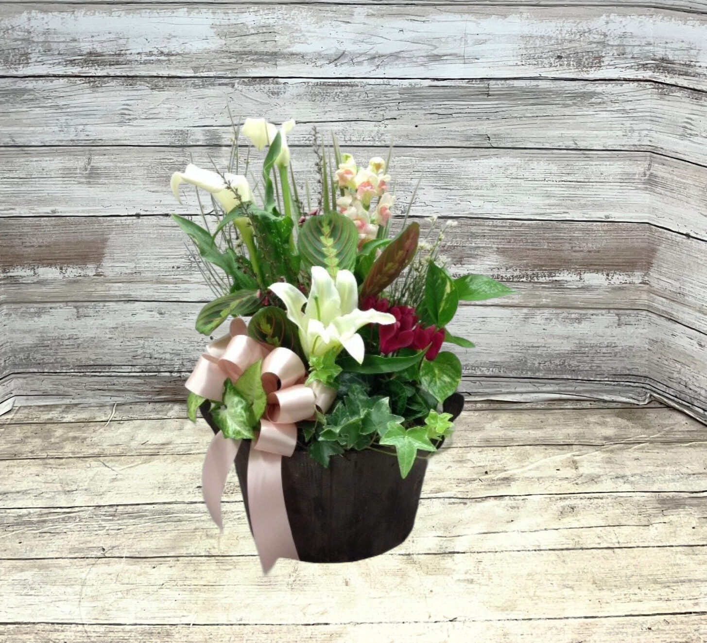 Veronica’s Plant Garden With Cut Flowers