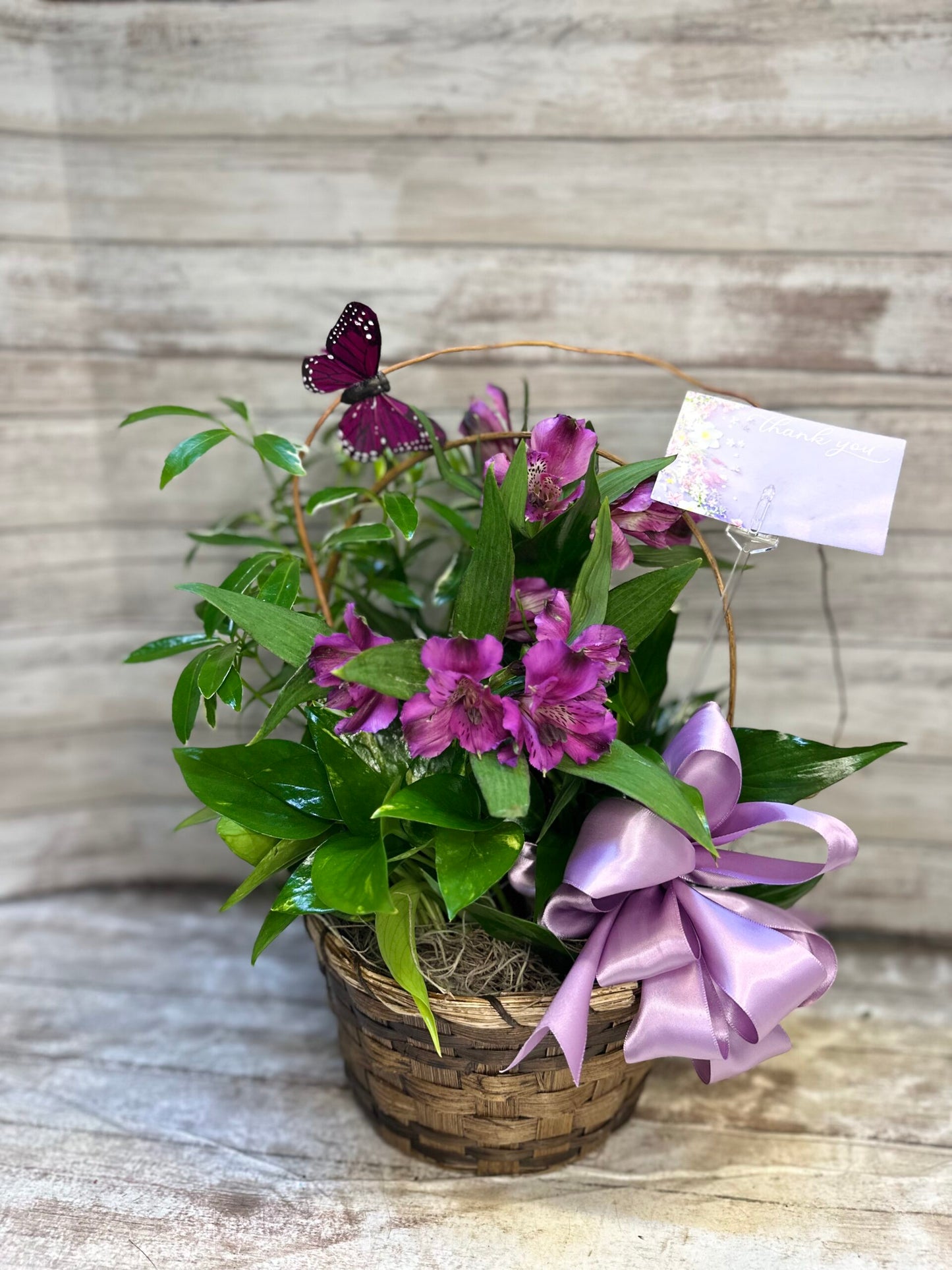 Administrative Professionals' Day Desk Plant image 0