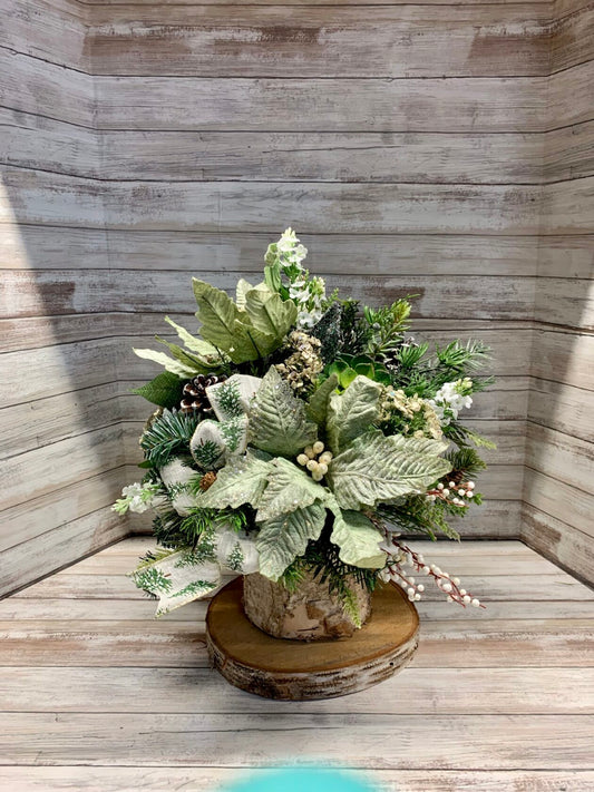 Snow-kiss Evergreen Delight