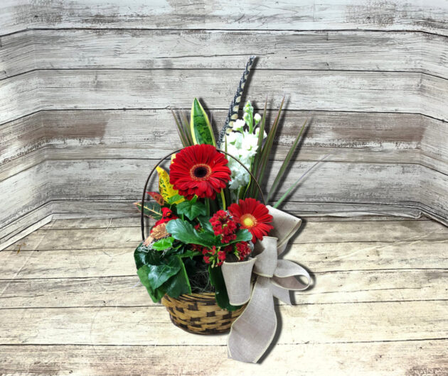 Sweet Love Garden Plant Basket
