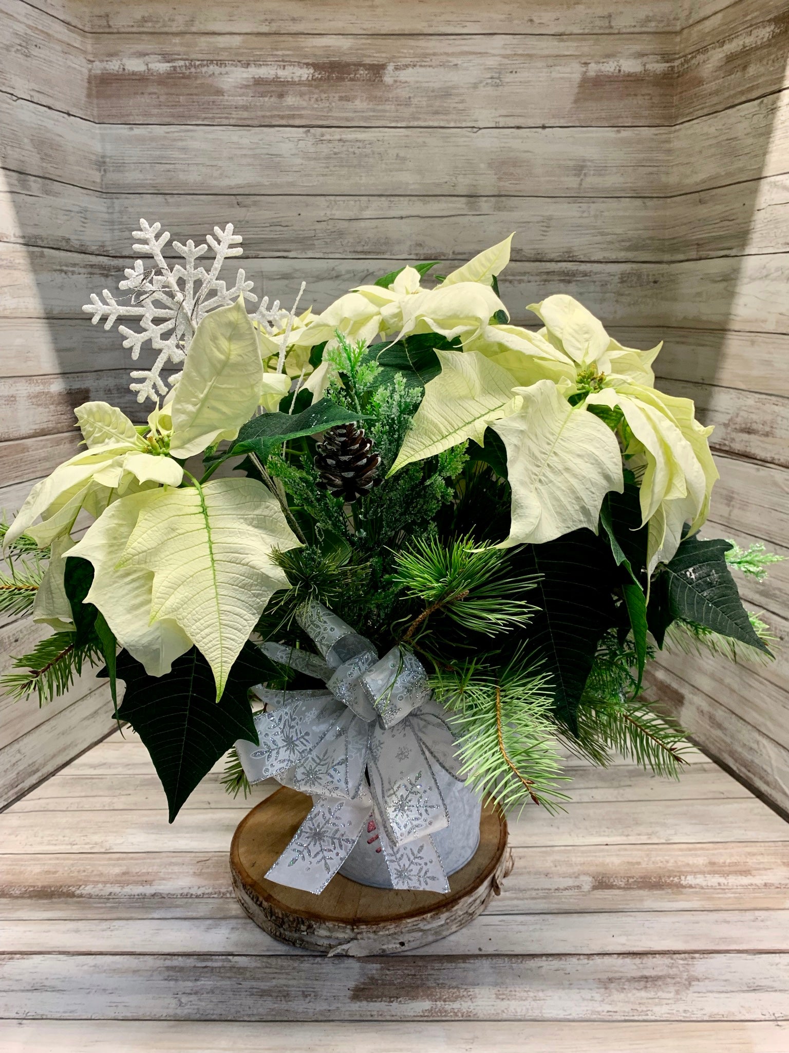 White Poinsettia