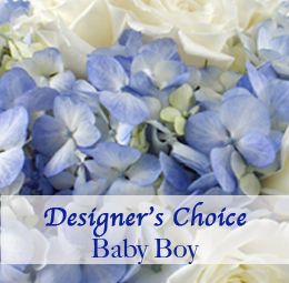 Baby Boy Designer Choice