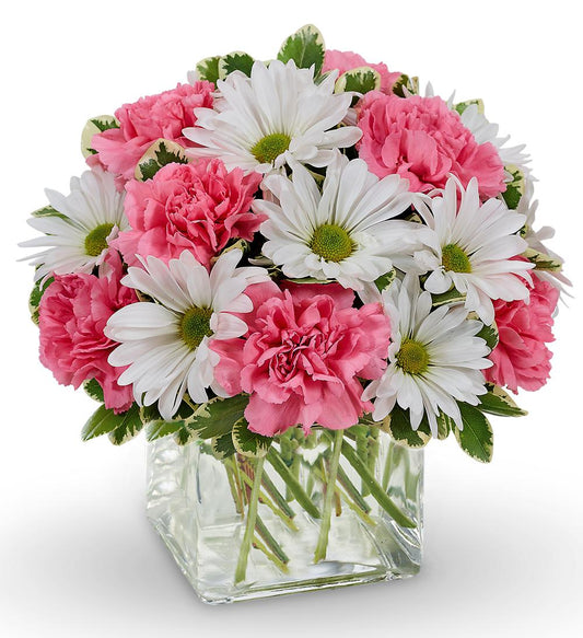 Same Day Daisy Dreams Bouquet image 0